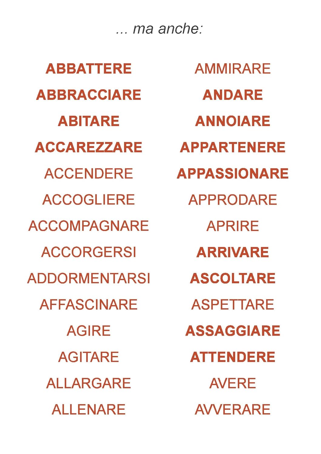 Greco Irene - A Cosa Serve Un Libro? Ediz. Illustrata. Con Qr Code Con Approfondimenti. Con Fascicolo