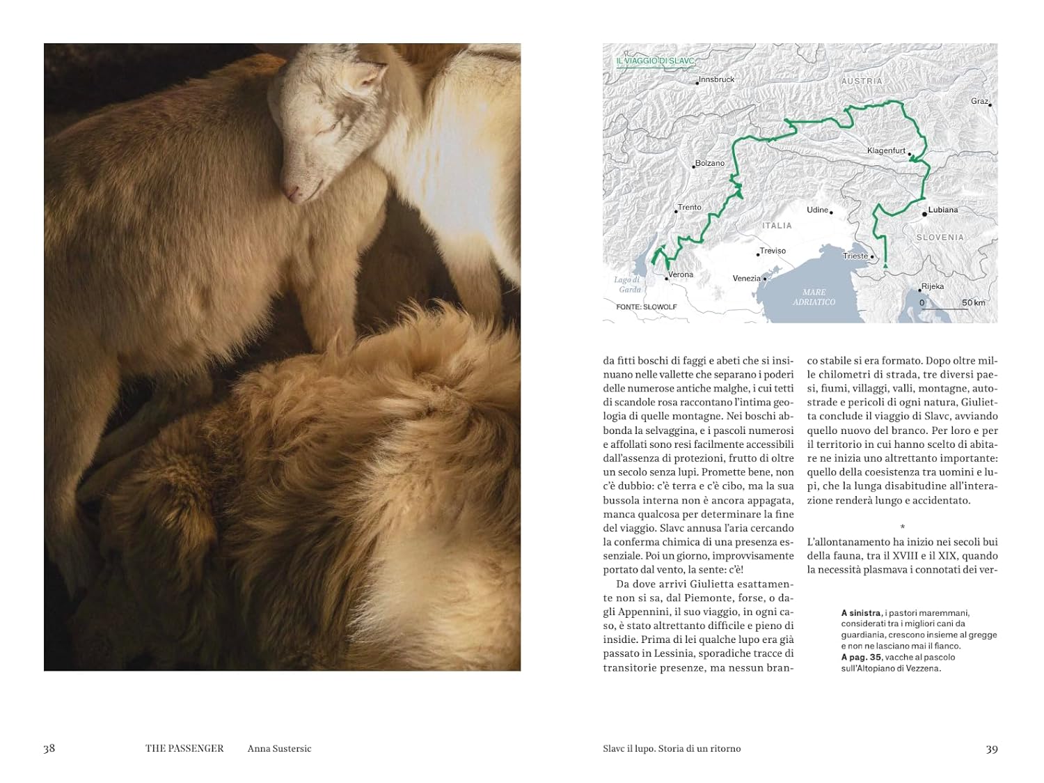 Alpi. The passenger. Per esploratori del mondo