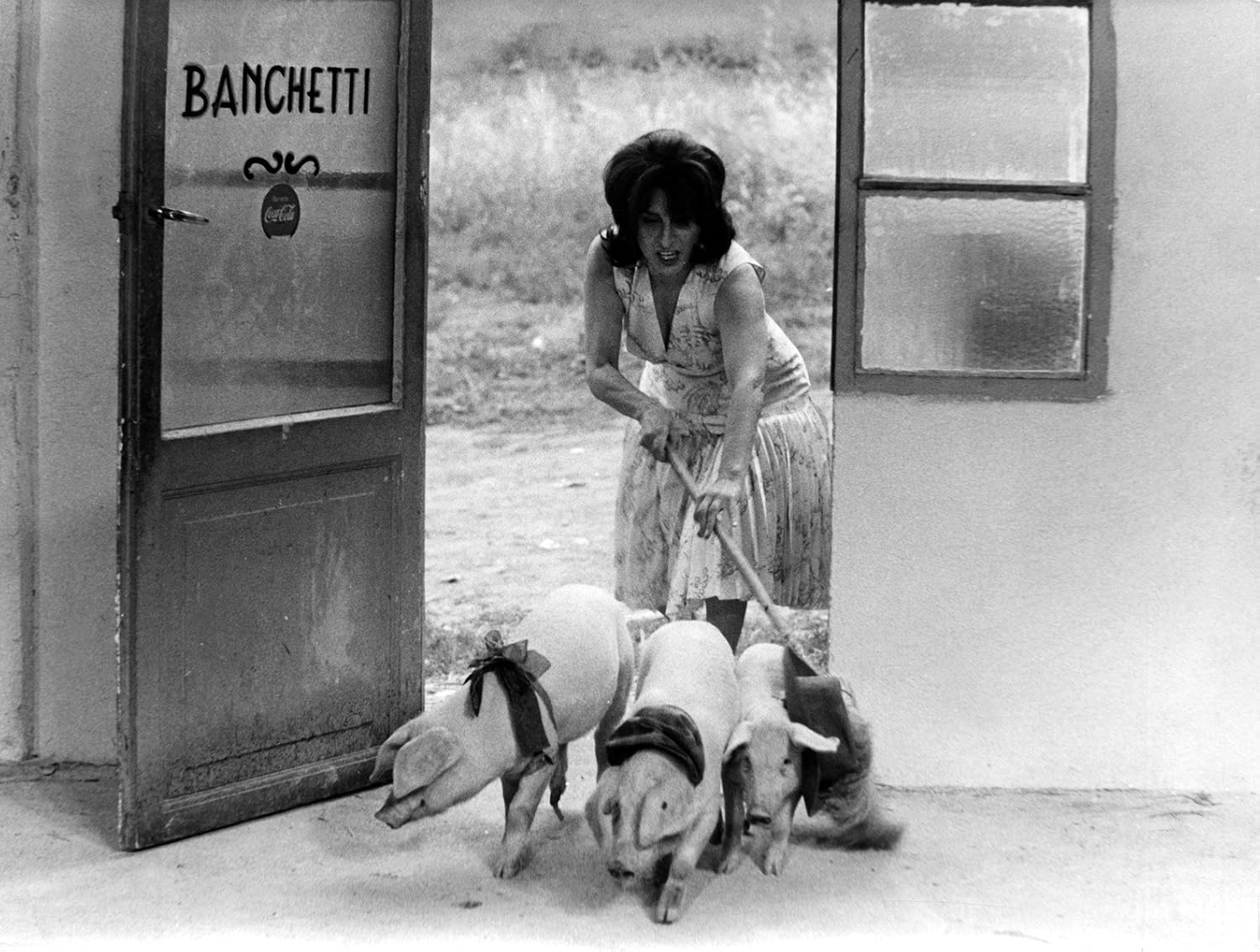 Pier Paolo Pasolini: My Cinema