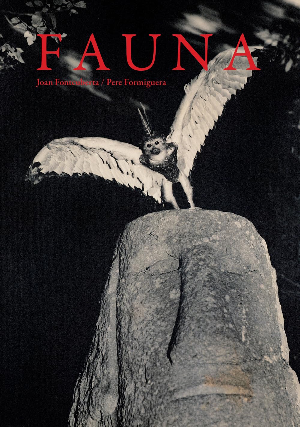 Joan Fontcuberta / Formiguera Pere - Fauna