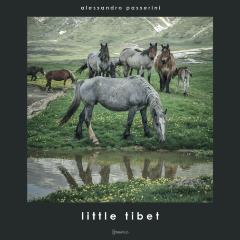 Alessandro Passerini - Little Tibet. Ediz. Illustrata