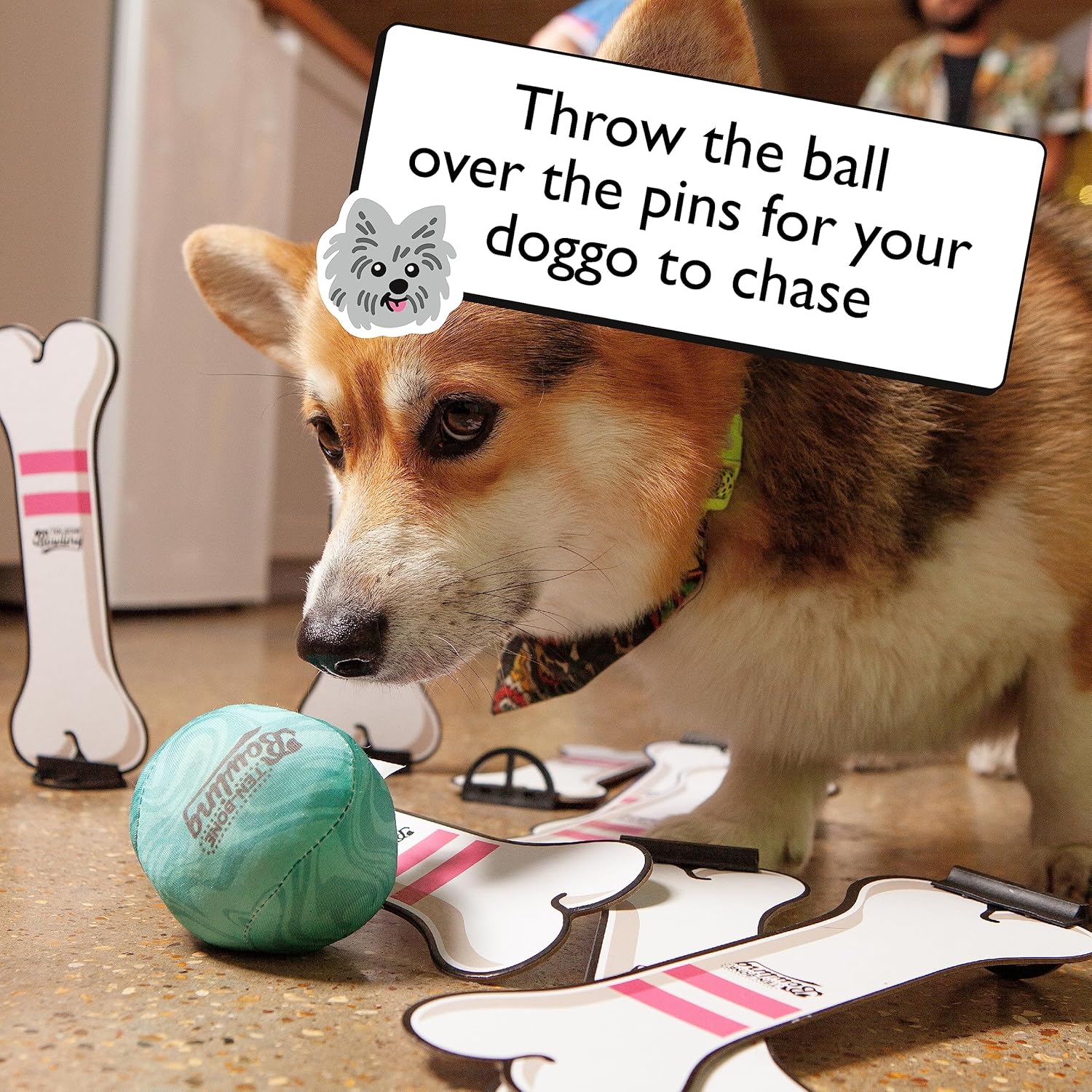 Ten Bone Bowling: A Party Game You Can Play With Your Dog! Board Games for Dogs for Dog Lovers