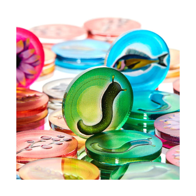 Pájaros Accesorios, Small (POLANDGAMES ERA89273
