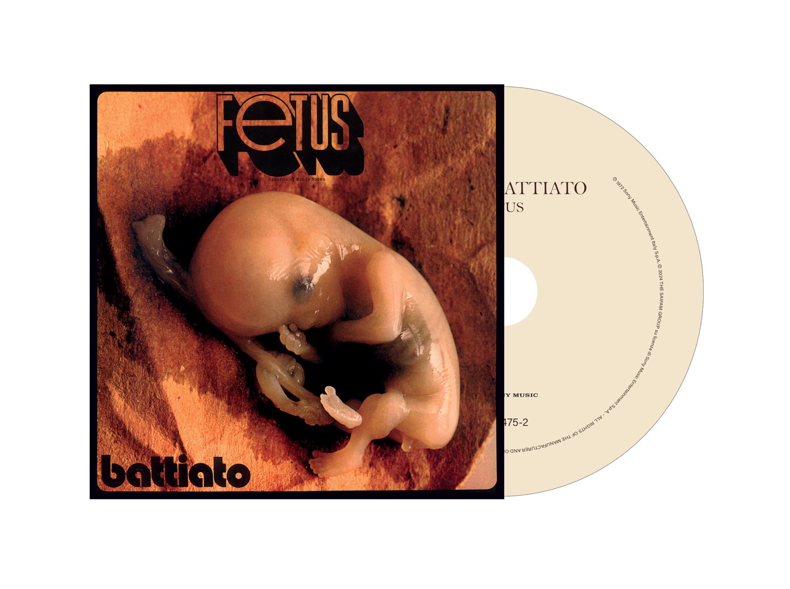 fetus
