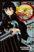 Demon slayer. Kimetsu no yaiba (Vol. 12