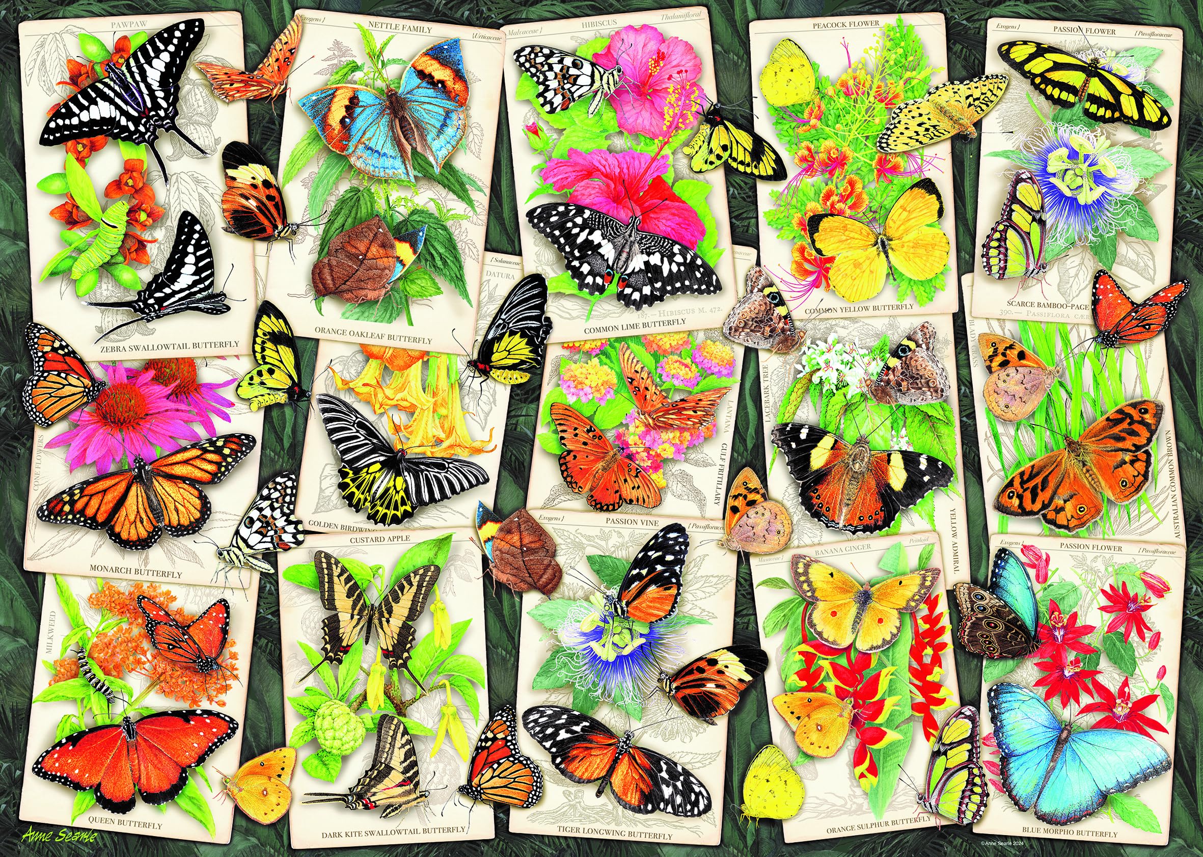 Ravensburger Tropical Butterflies 1000 Piece Jigsaw Puzzles for Adults and Kids Age 12 Years Up - Animals & Insects New Design