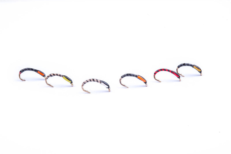 Craig Barr Craig Barr Craig's Grub Buzzers Size 12 Pack of 6