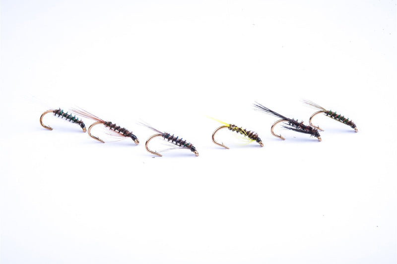 Craig Barr Craig Barr Craig's Quill Diawl Bachs Pack of 6