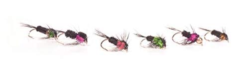 Craig Barr Craig Barr Craig's Montana Nymph Selection