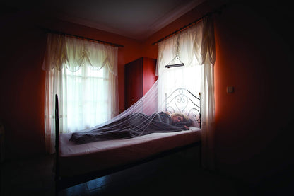 MicroNet - Single Mosquito Net