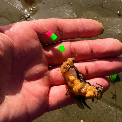 Inova Inova INOVA Flexi-Beads Orange 5mm 10 PK