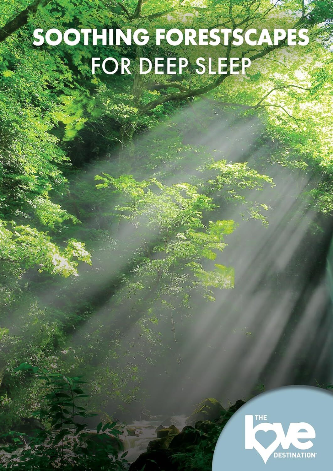 The Love Destination Courses: Soothing Forestscapes for Deep S...