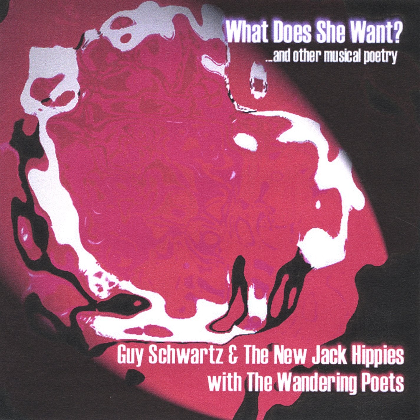 Guy Schwartz & The New Jack Hippies With The Wandering Poets - What Does She Want? & Other Musical Poetry