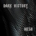 Mesh
