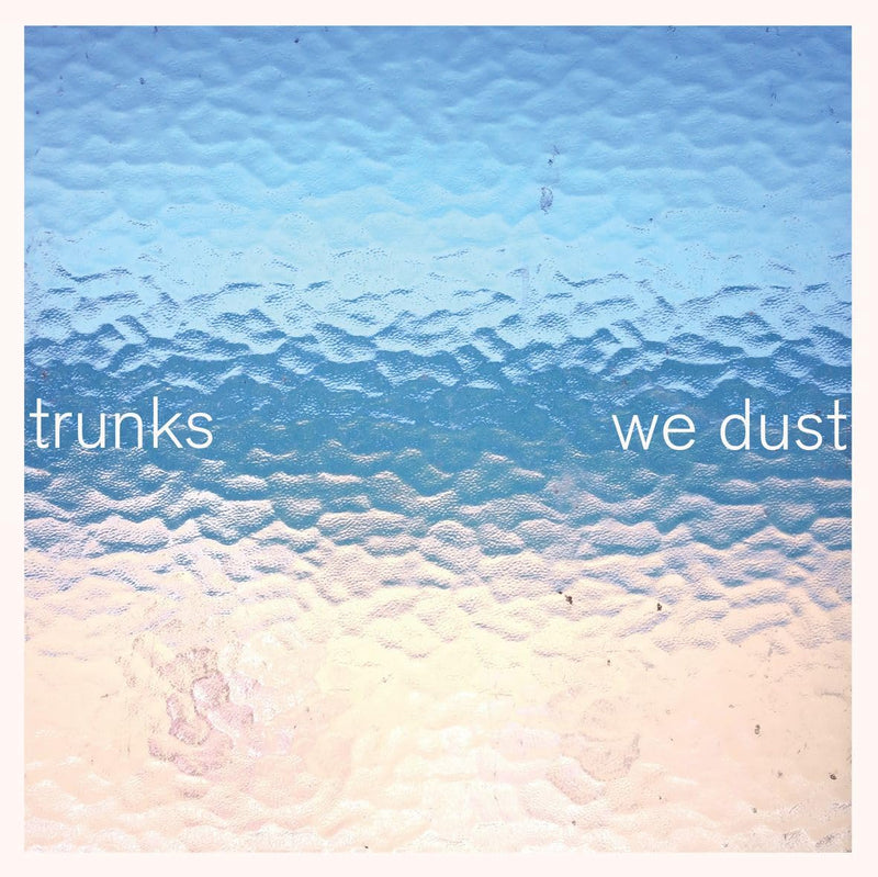 We Dust (Vinyl)