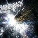 MIND HACK(限定盤