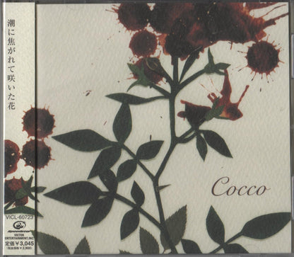 Cocco - Sangrose