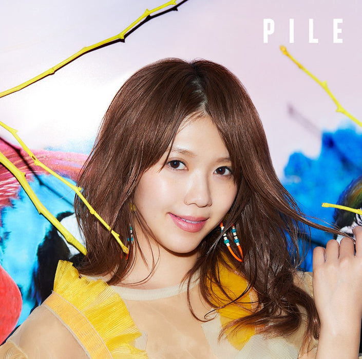 Pile - Pile