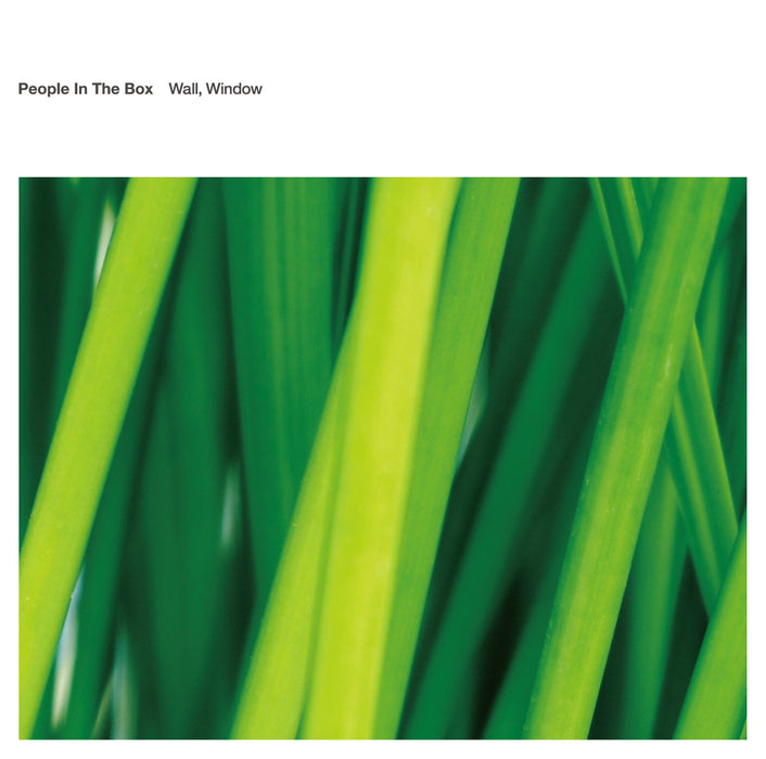 People In The Box - Wall.Window