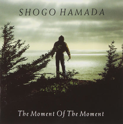 Shogo Hamada - The Moment Of The Moment