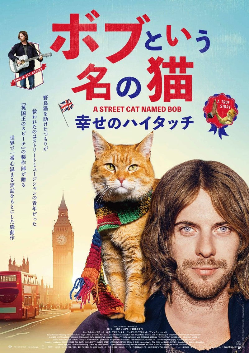 A Street Cat Named Bob - (Italian Import)