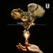 Unison Square Garden - Catcher In The Spy