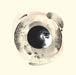 Grayson Gilmour - Otherness