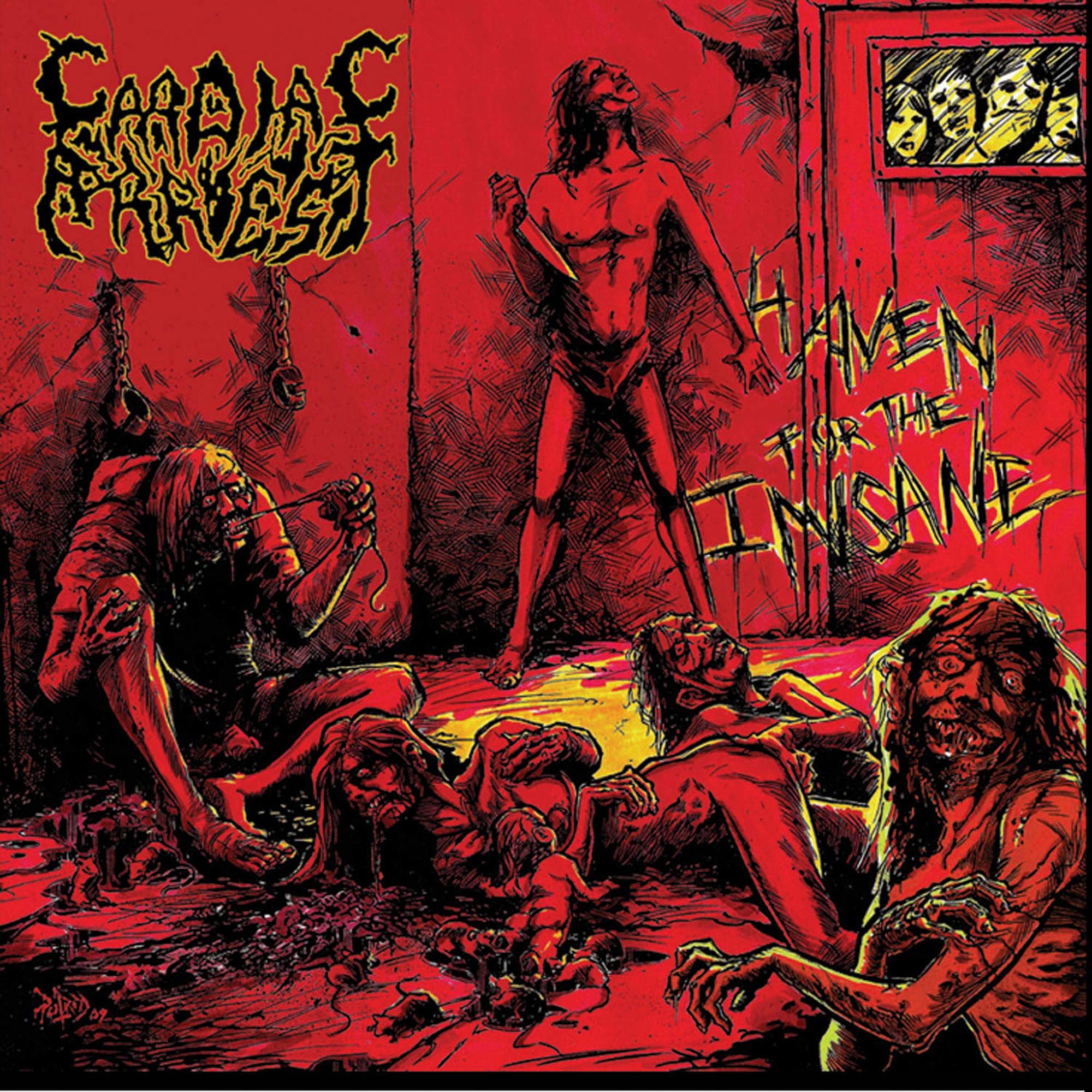 Haven For The Insane