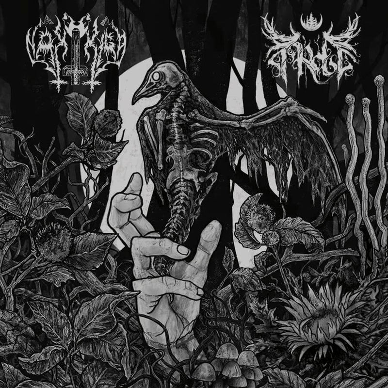 Nakkiga/Arde