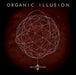 Organic Illusion - The Linear Chaos