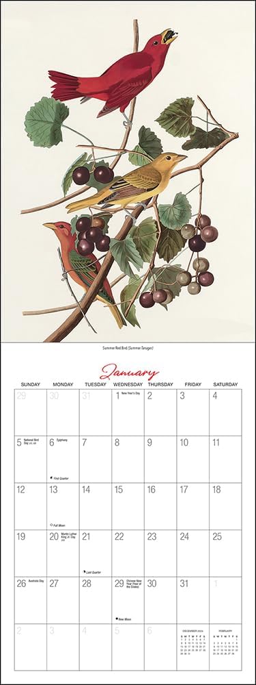 Audubon’s Birds of America Deluxe Wall Calendar 2025