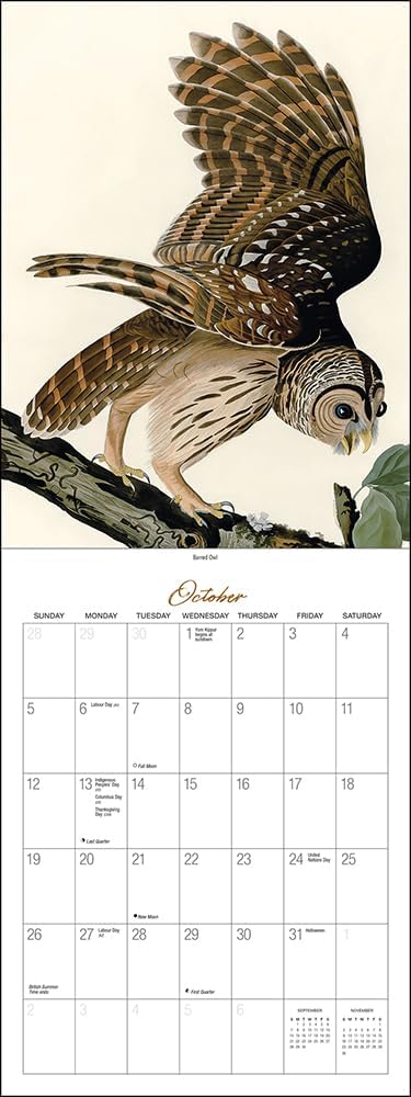 Audubon’s Birds of America Deluxe Wall Calendar 2025