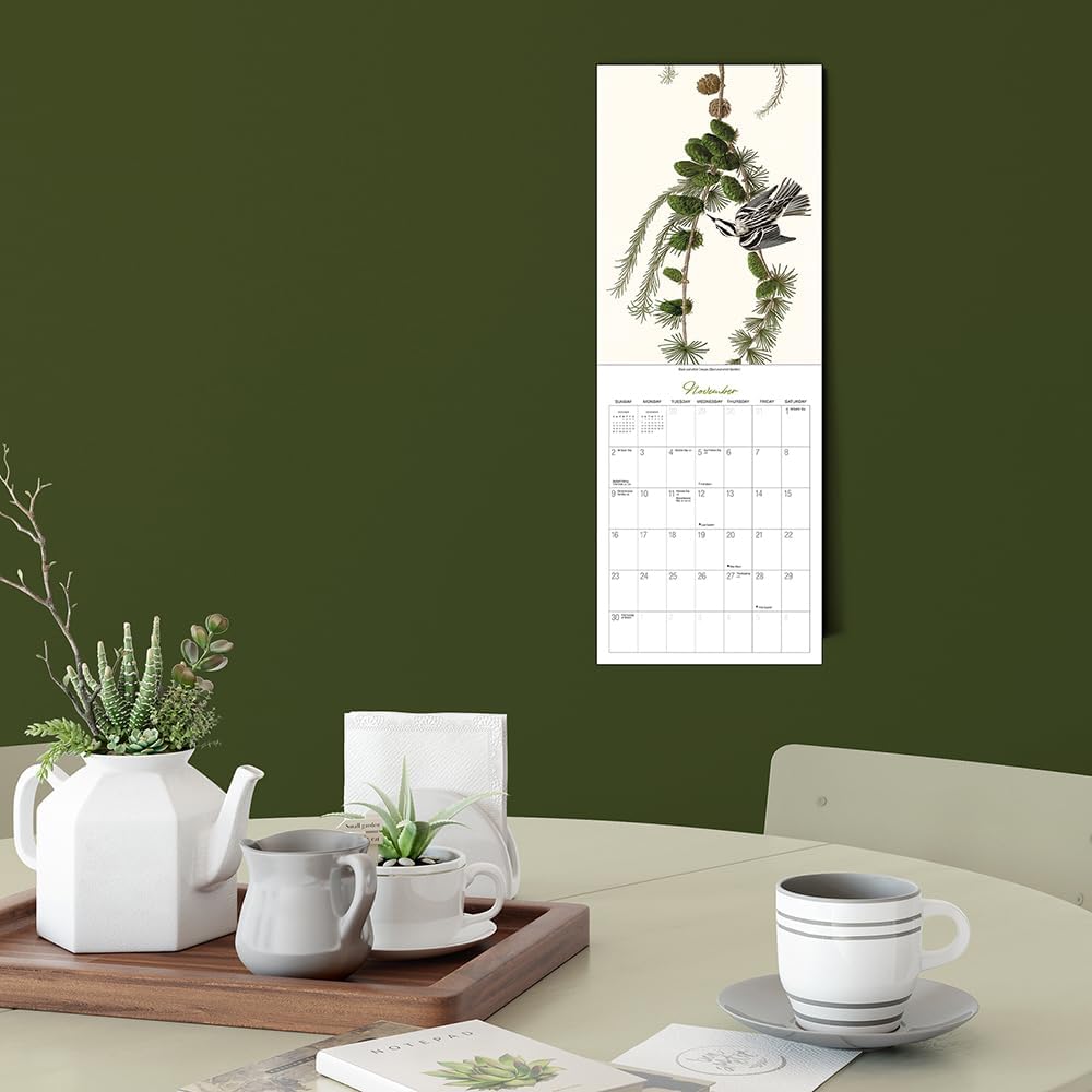 Audubon’s Birds of America Deluxe Wall Calendar 2025