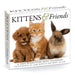 Kittens & Friends Box Calendar 2025