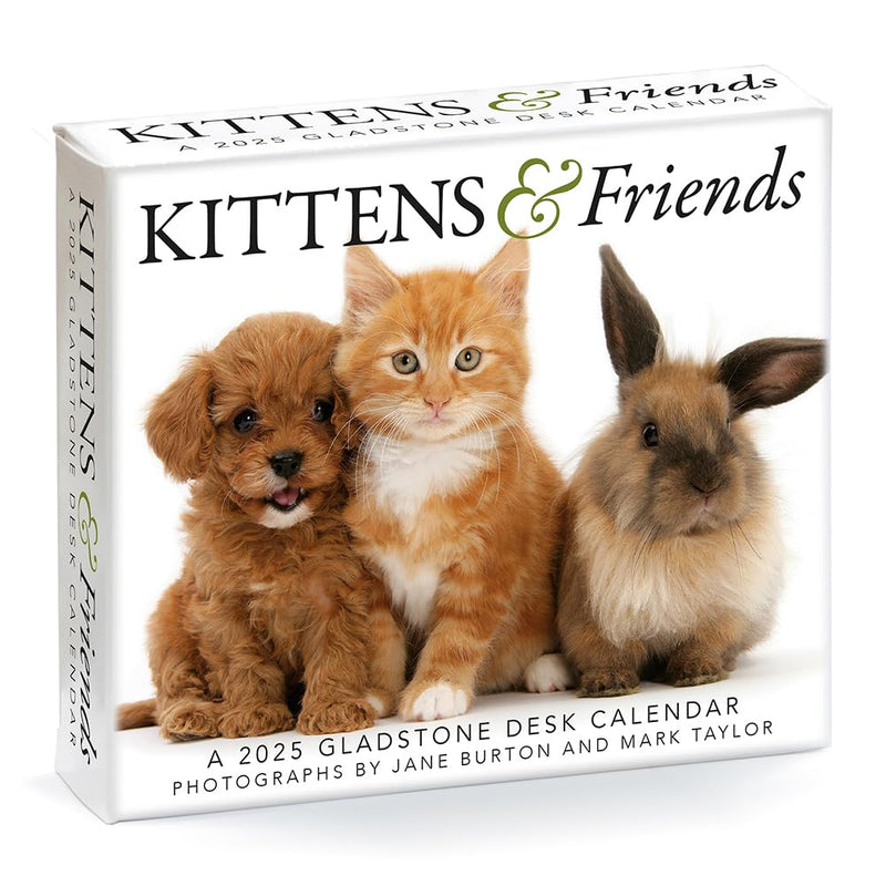 Kittens & Friends Box Calendar 2025