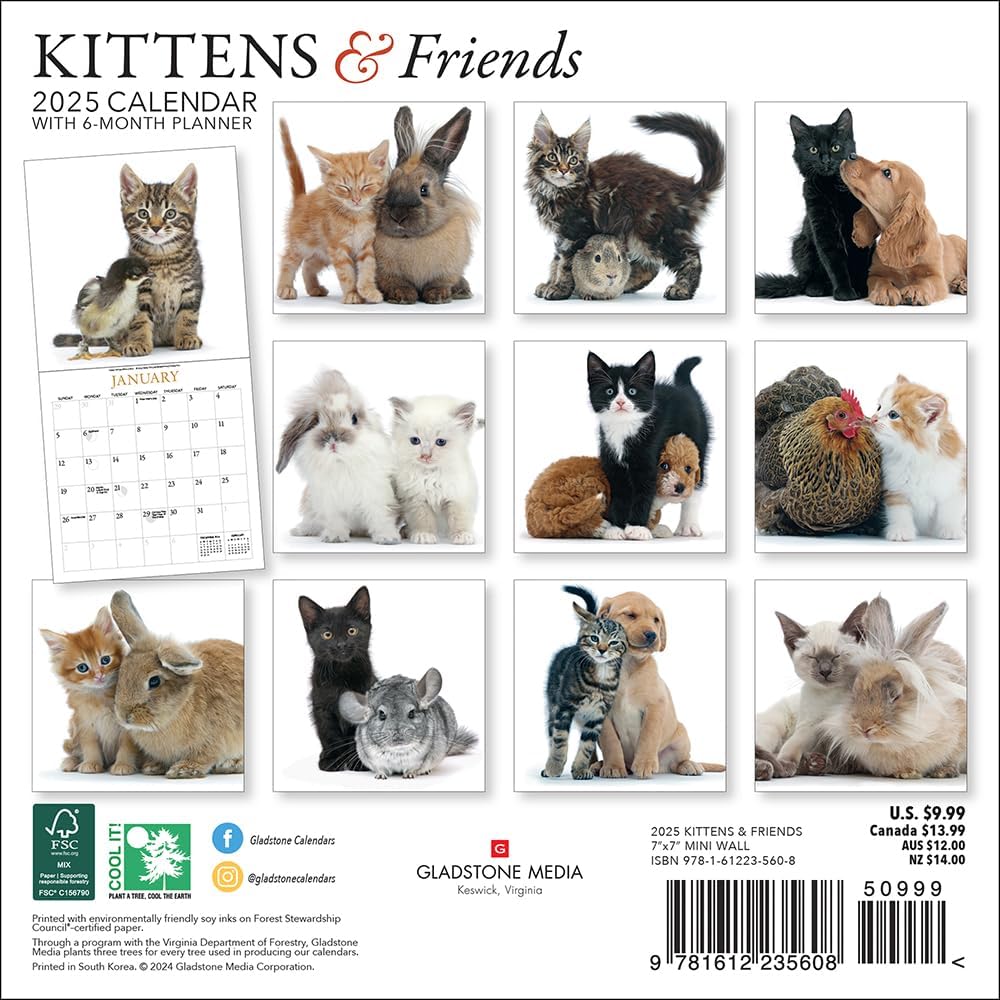 Kittens & Friends Mini Wall Calendar 2025
