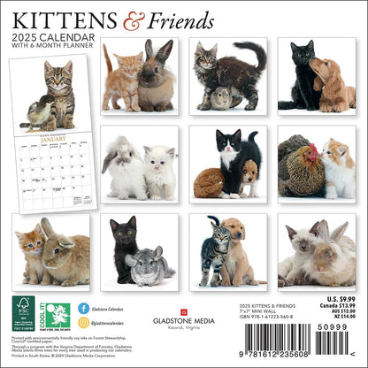 Kittens & Friends Mini Wall Calendar 2025