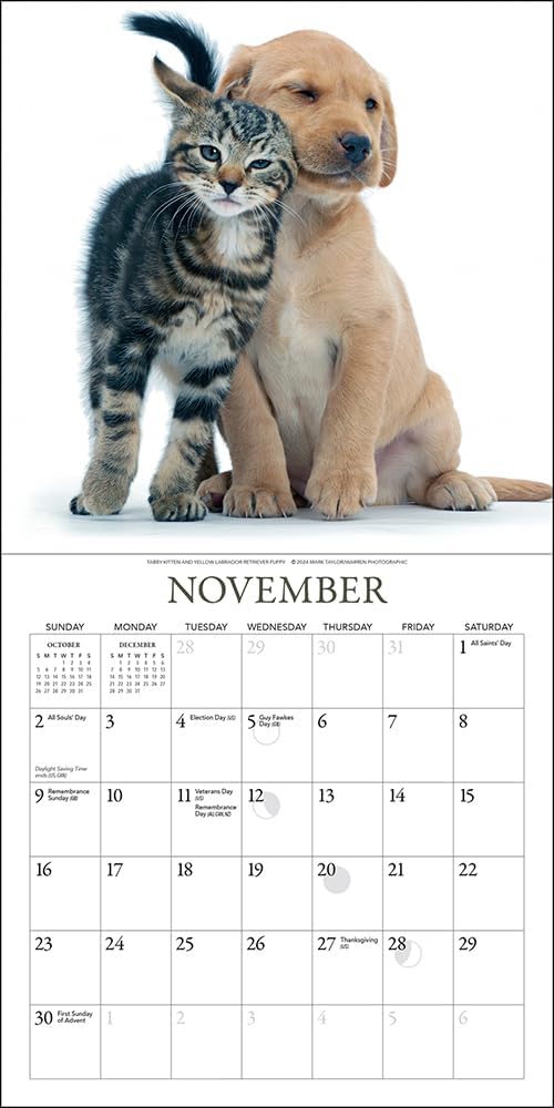 Kittens & Friends Mini Wall Calendar 2025