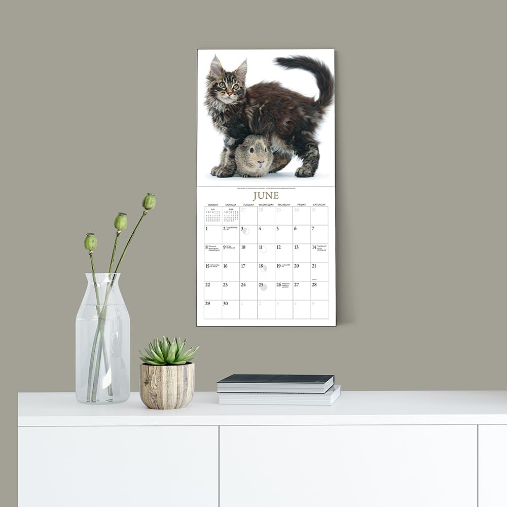 Kittens & Friends Mini Wall Calendar 2025