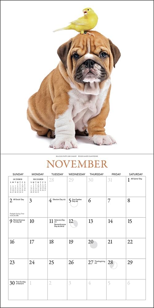 Puppies & Friends Mini Wall Calendar 2025