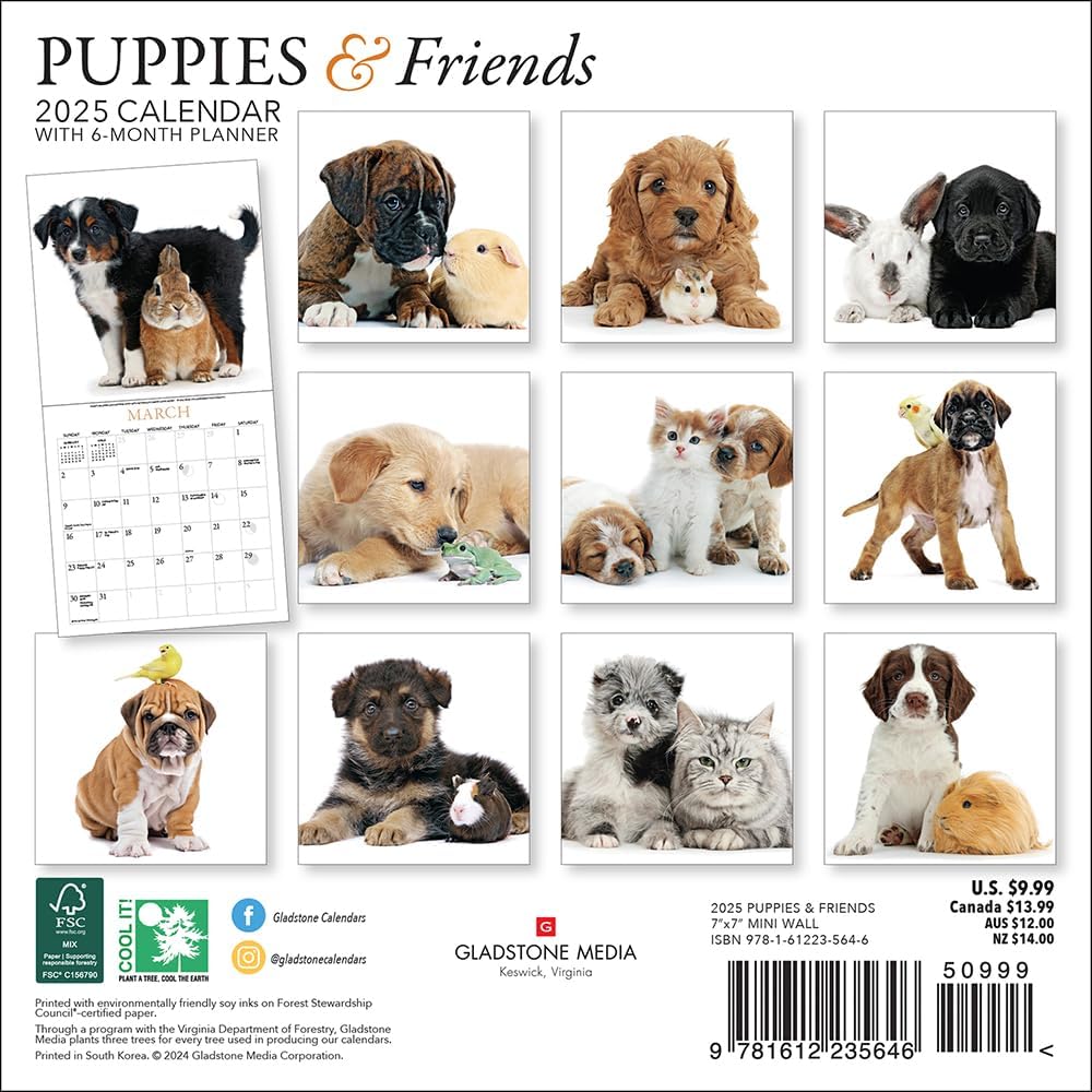 Puppies & Friends Mini Wall Calendar 2025