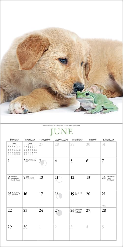 Puppies & Friends Mini Wall Calendar 2025