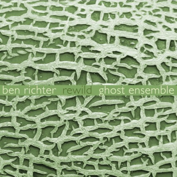 Ben Richter: Rewild