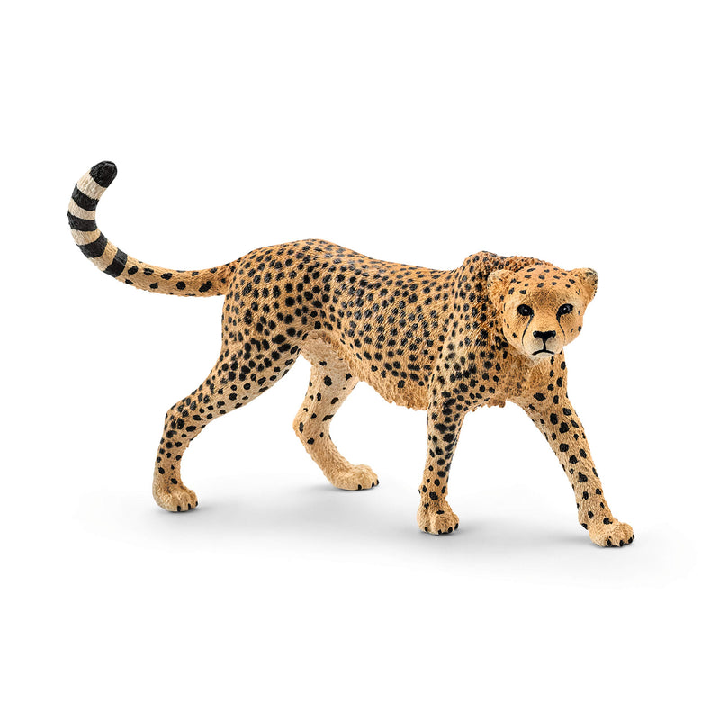 schleich 14746 Gepardin, ab 3 Jahren, WILD LIFE - Spielfigur, 3 x 10 x 7 cm