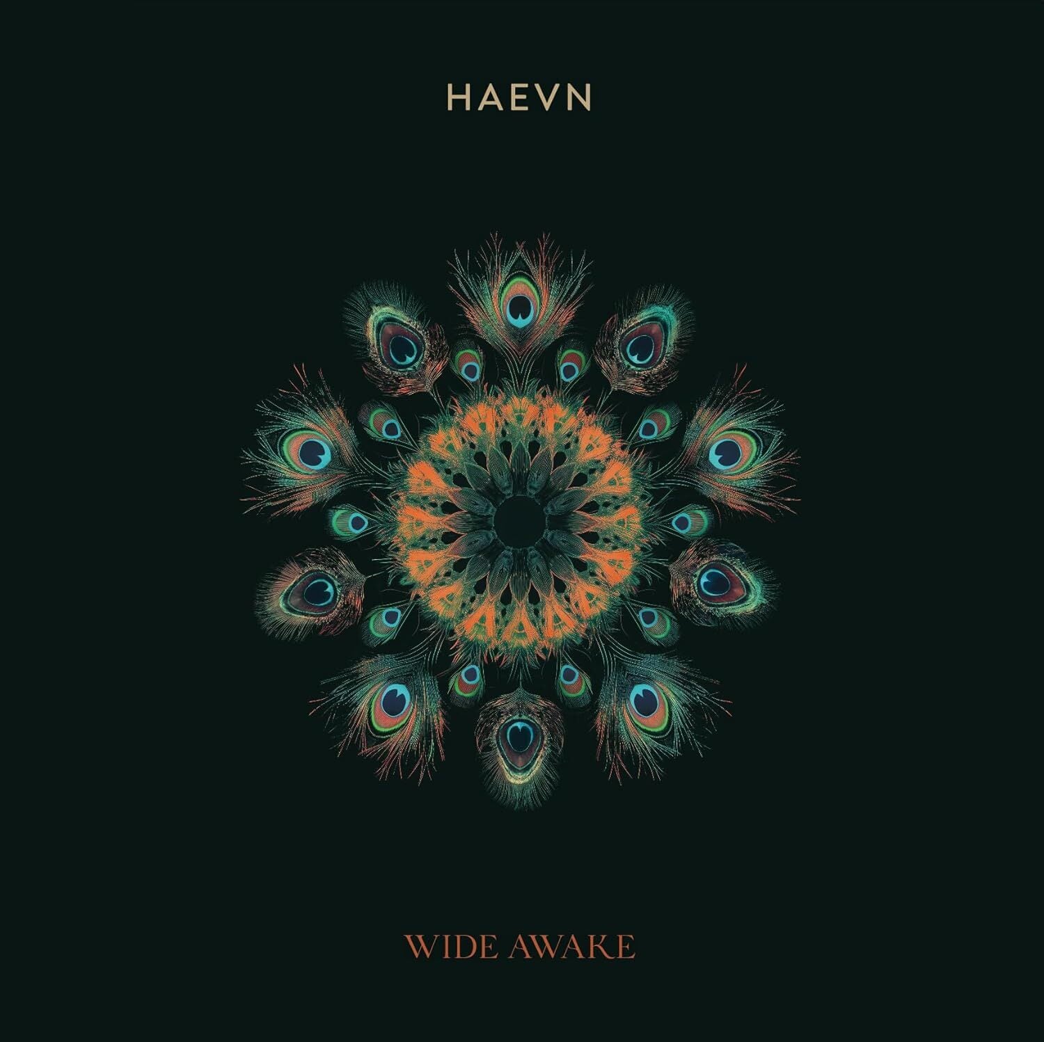 Wide Awake