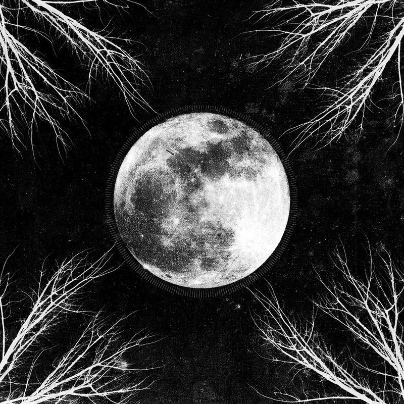 Pale Moon (LP)