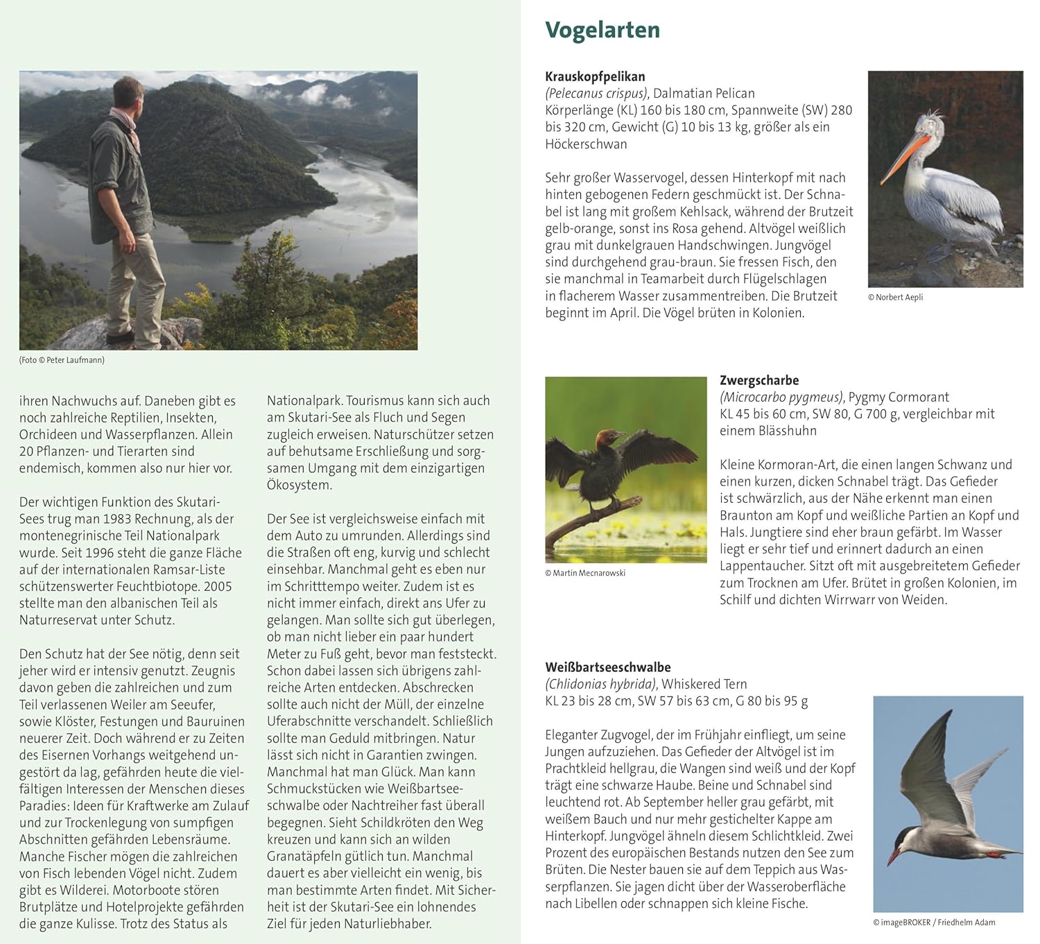 Skadar Lake nature & hiking & cycling map