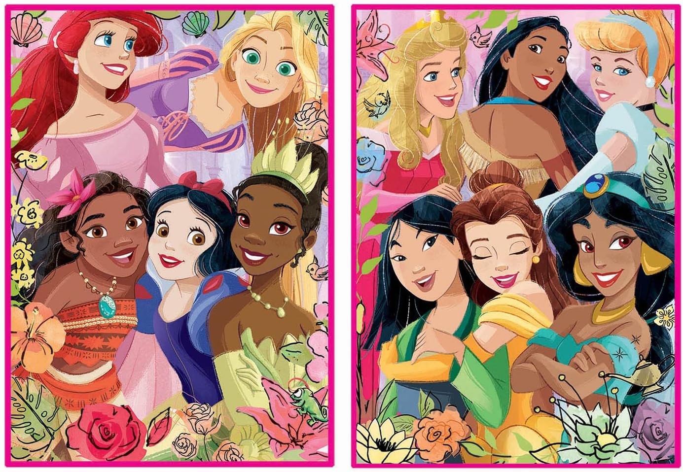 Educa - Puzzle 500 Teile für Erwachsene | Disney Prinzessinnen, 2 x 500 Teile Puzzleset für Erwachsene und Kinder ab 11 Jahren, Princess (19253