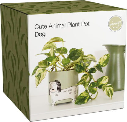Winkee - Flower Pot Dog - Height: 40 Cm, Diameter: 13 Cm