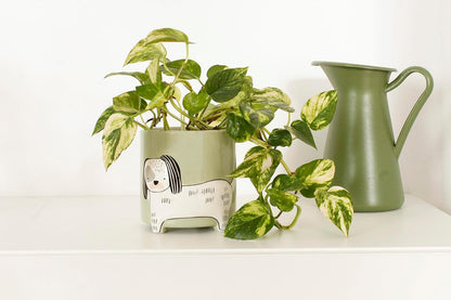 Winkee - Flower Pot Dog - Height: 40 Cm, Diameter: 13 Cm